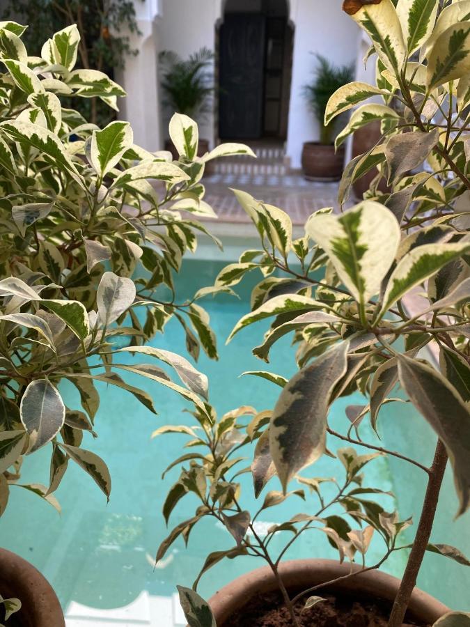 Riad Magellan Yoga And Marrakesh