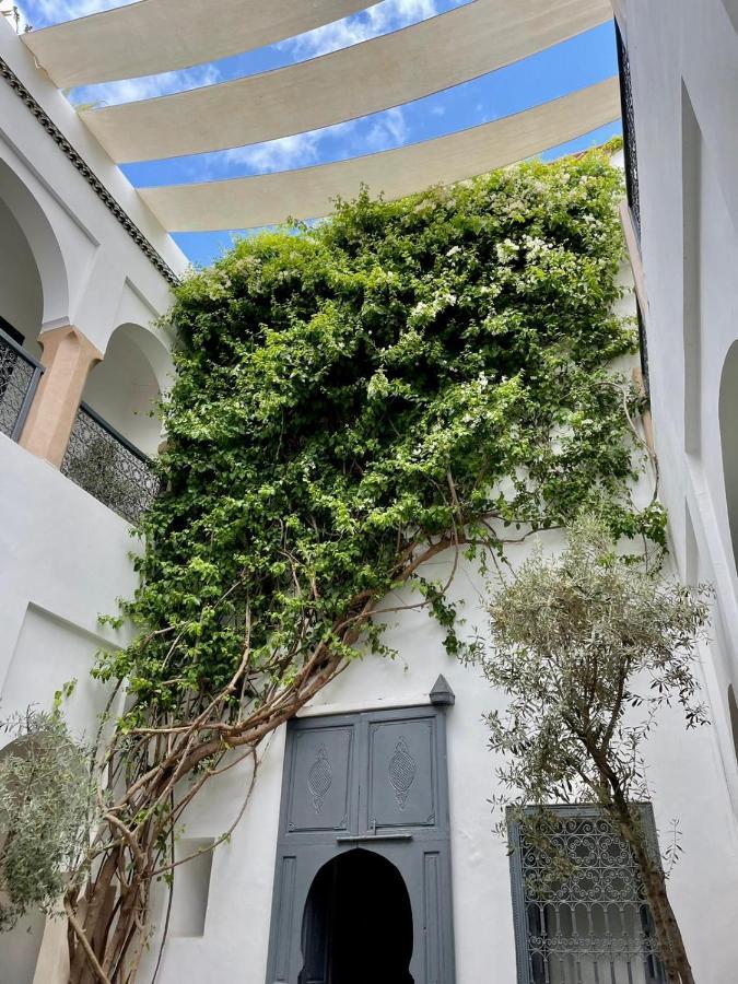 Magellan Yoga And Riad